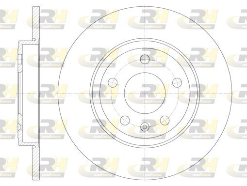 Stabdžių diskas ROADHOUSE 61011.00