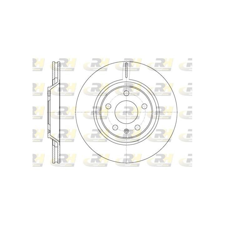 Stabdžių diskas ROADHOUSE 61012.10