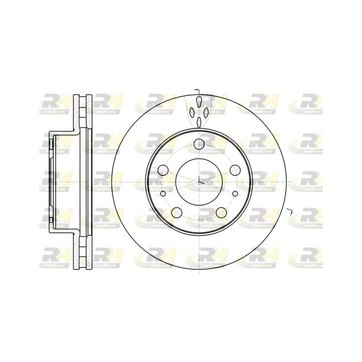Stabdžių diskas ROADHOUSE 61016.10
