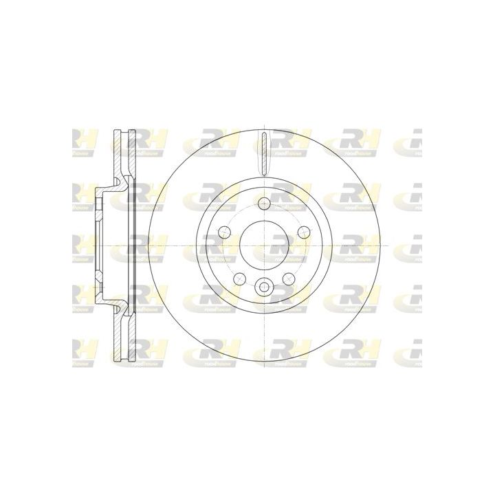 Stabdžių diskas ROADHOUSE 61019.10