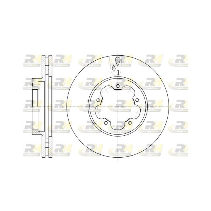 Stabdžių diskas ROADHOUSE 61021.10