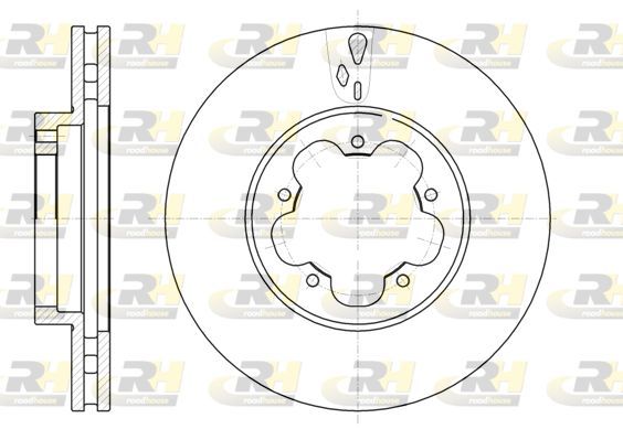 Stabdžių diskas ROADHOUSE 61021.10