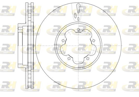 Stabdžių diskas ROADHOUSE 61022.10
