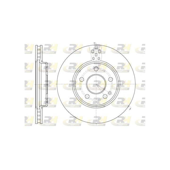 Stabdžių diskas ROADHOUSE 61029.10