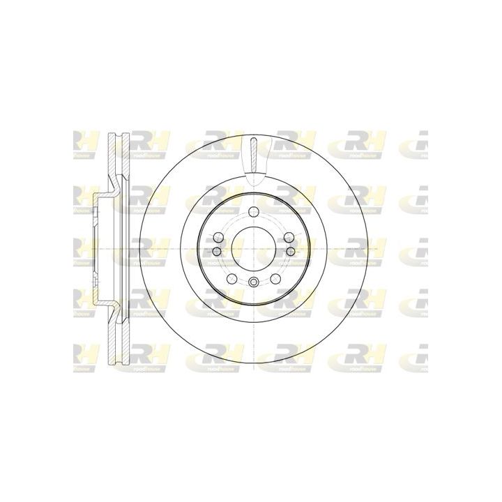 Stabdžių diskas ROADHOUSE 61030.10