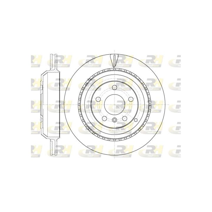 Stabdžių diskas ROADHOUSE 61031.10