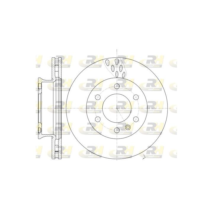 Stabdžių diskas ROADHOUSE 61034.10