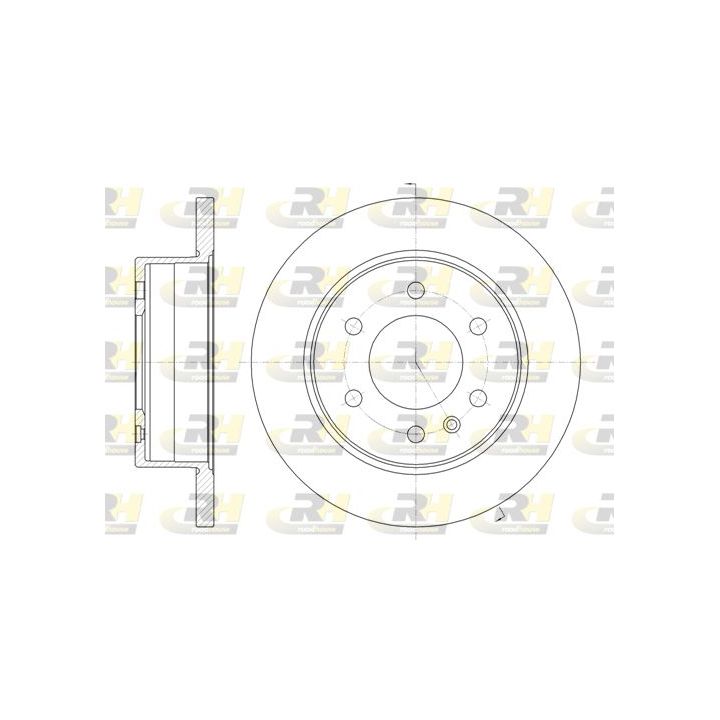 Stabdžių diskas ROADHOUSE 61035.00