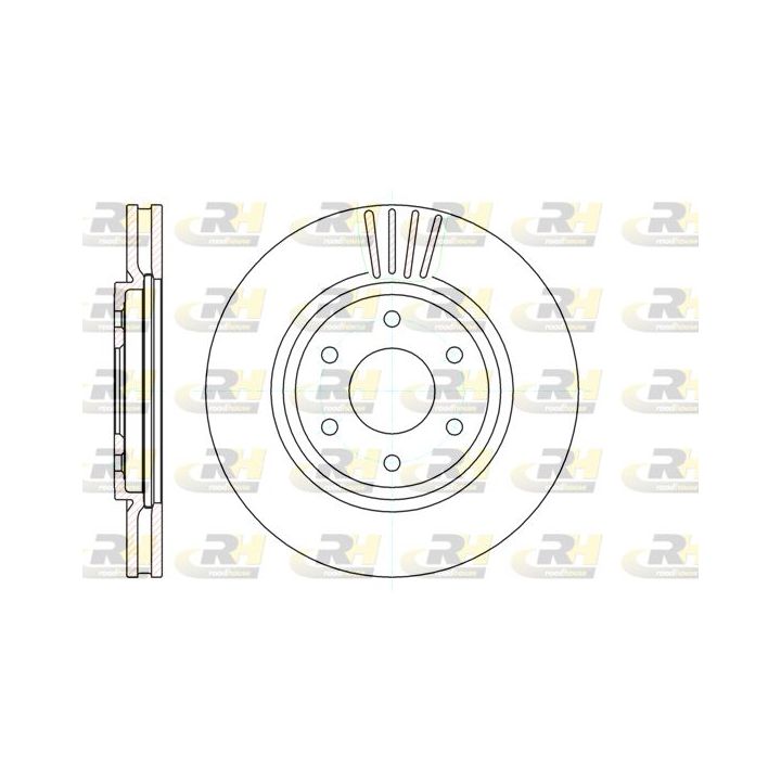 Stabdžių diskas ROADHOUSE 61037.10