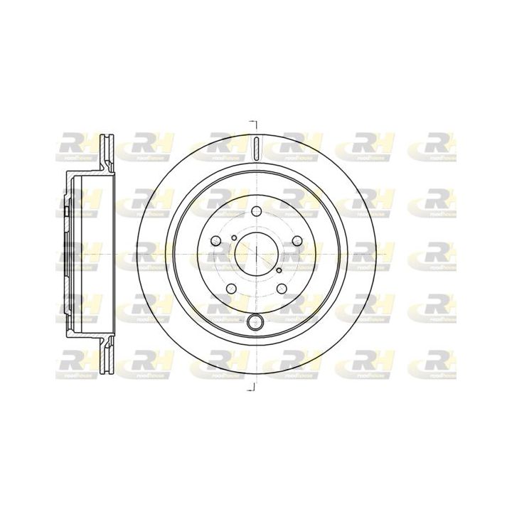 Stabdžių diskas ROADHOUSE 61042.10