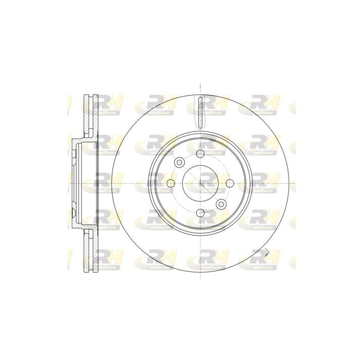 Stabdžių diskas ROADHOUSE 61049.10