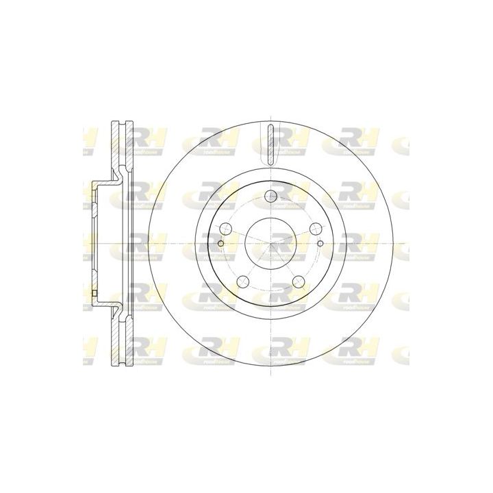 Stabdžių diskas ROADHOUSE 61050.10