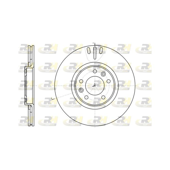 Stabdžių diskas ROADHOUSE 61051.10