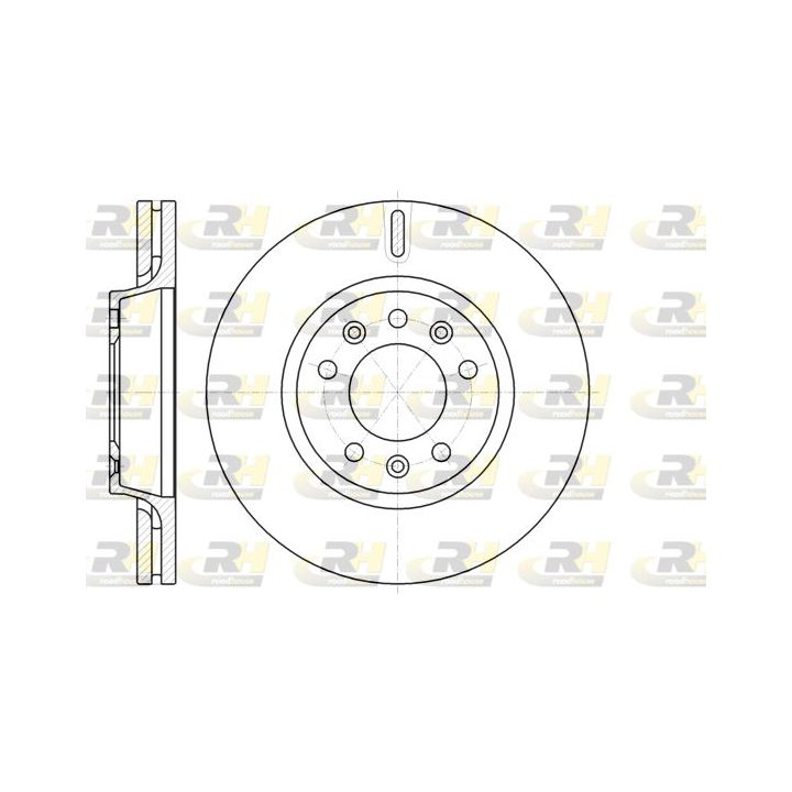 Stabdžių diskas ROADHOUSE 61052.10