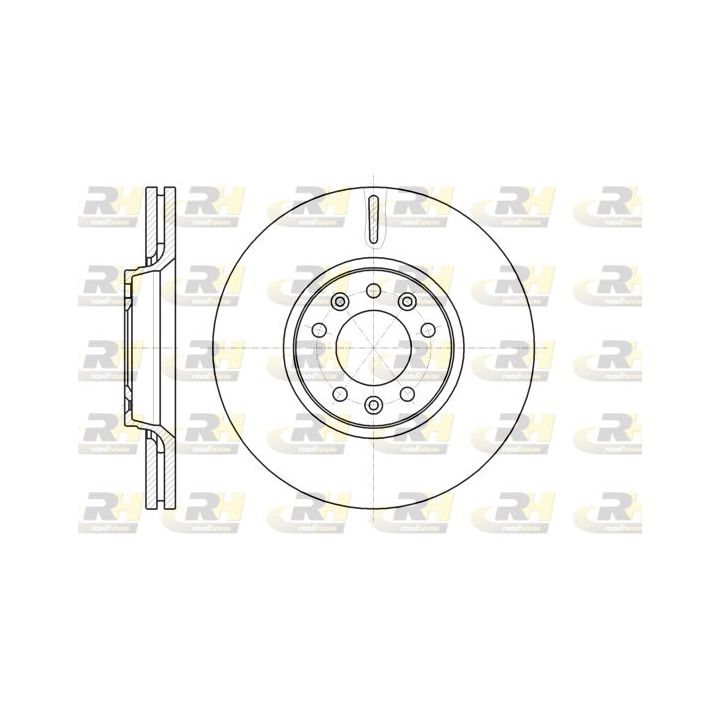 Stabdžių diskas ROADHOUSE 61054.10