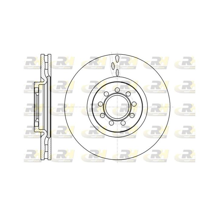Stabdžių diskas ROADHOUSE 61061.10
