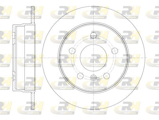 Stabdžių diskas ROADHOUSE 61065.00