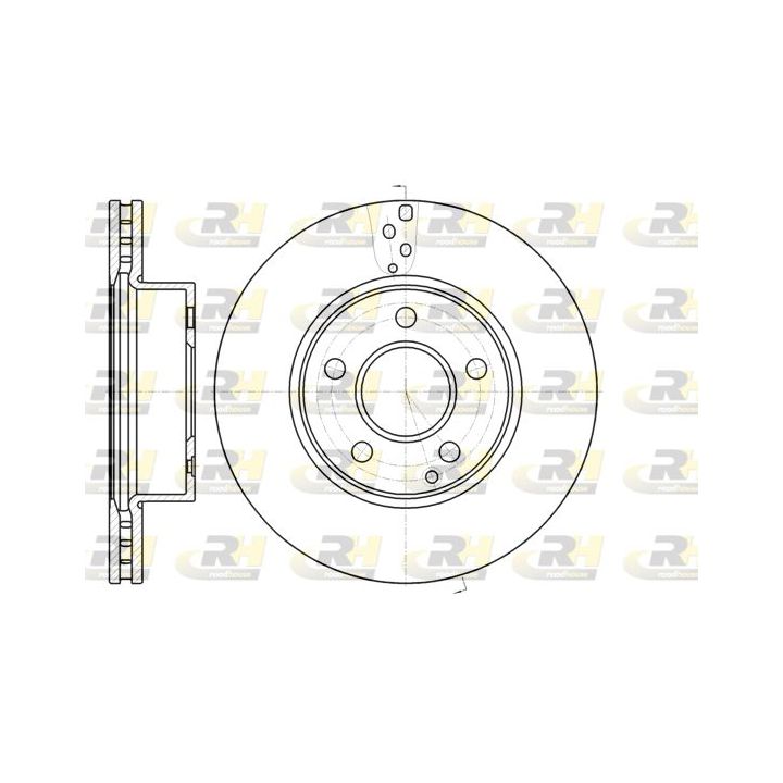 Stabdžių diskas ROADHOUSE 61066.10