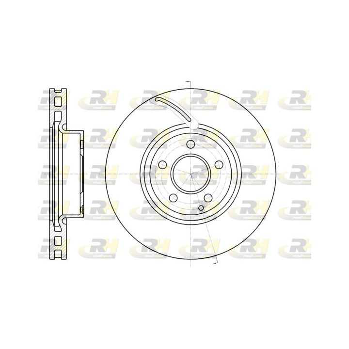 Stabdžių diskas ROADHOUSE 61067.10