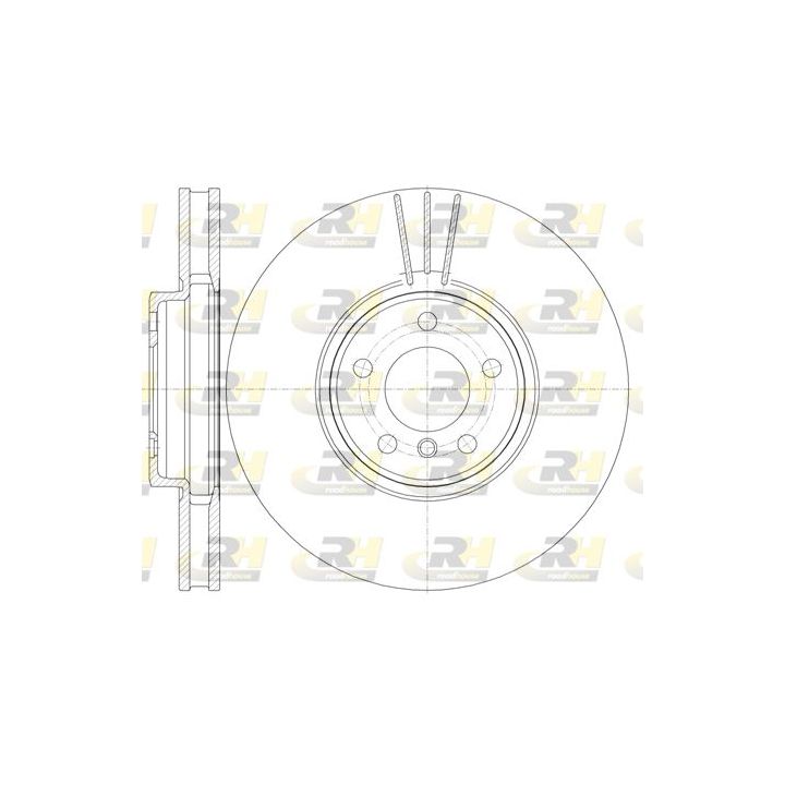 Stabdžių diskas ROADHOUSE 61079.10