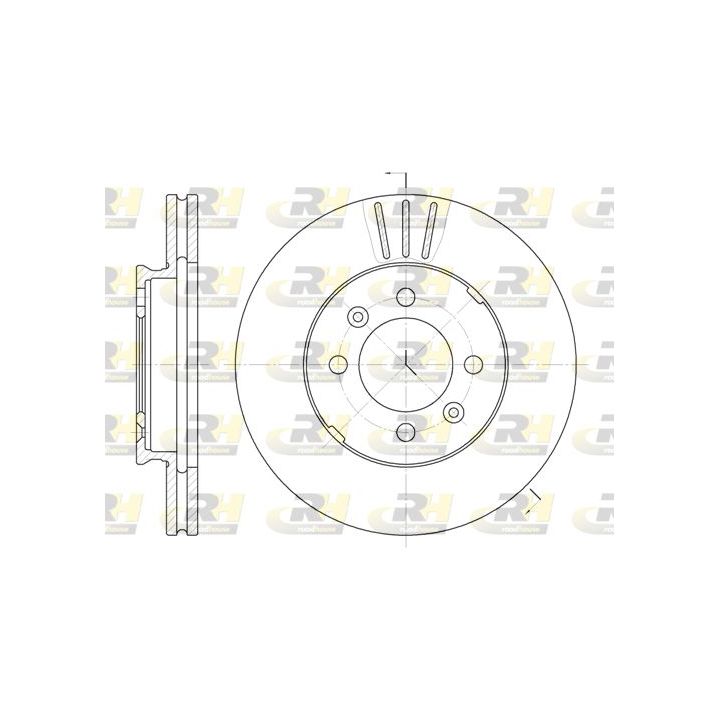 Stabdžių diskas ROADHOUSE 6109.10