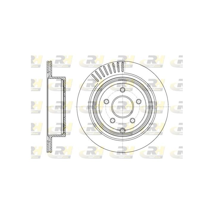 Stabdžių diskas ROADHOUSE 61091.10