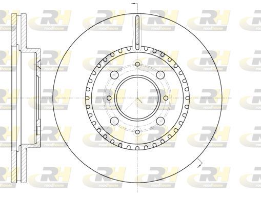 Stabdžių diskas ROADHOUSE 61096.10
