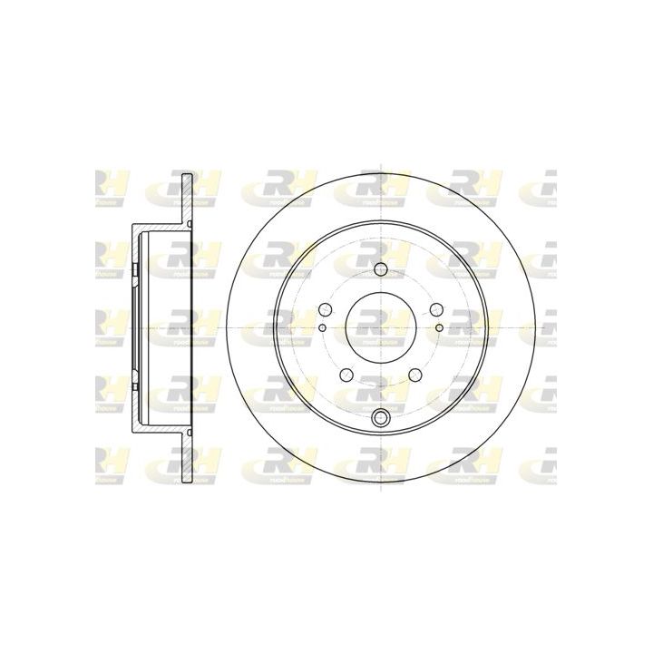 Stabdžių diskas ROADHOUSE 61098.00