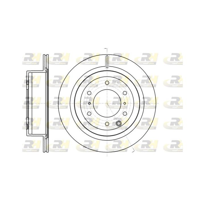 Stabdžių diskas ROADHOUSE 61099.10