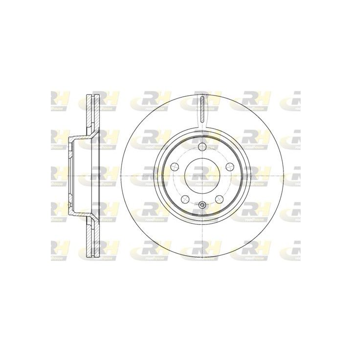 Stabdžių diskas ROADHOUSE 61101.10