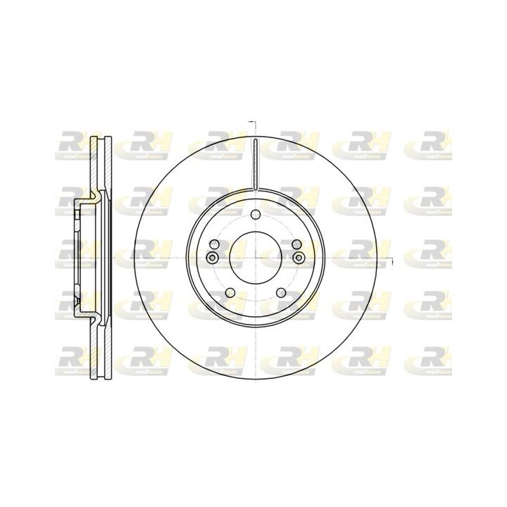 Stabdžių diskas ROADHOUSE 61102.10