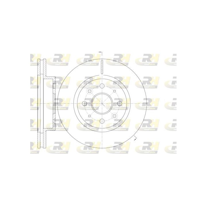 Stabdžių diskas ROADHOUSE 61103.10