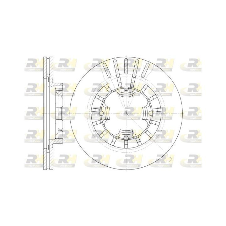 Stabdžių diskas ROADHOUSE 61108.10