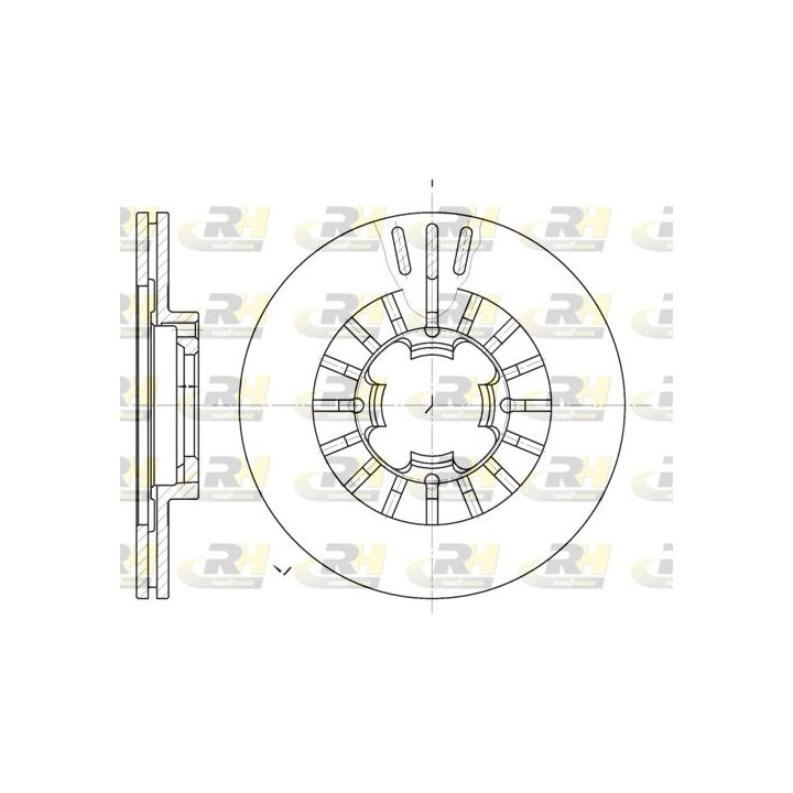 Stabdžių diskas ROADHOUSE 61109.10