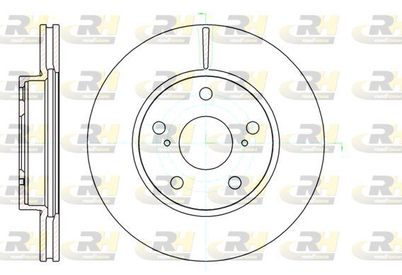 Stabdžių diskas ROADHOUSE 61122.10