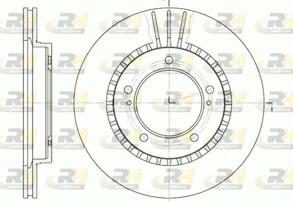 Stabdžių diskas ROADHOUSE 61125.10