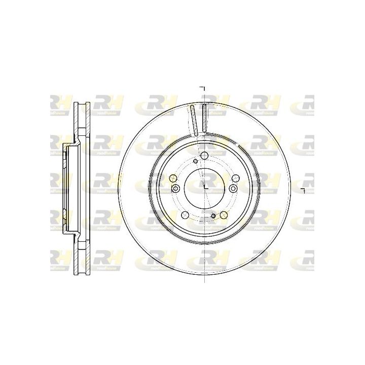 Stabdžių diskas ROADHOUSE 61129.10