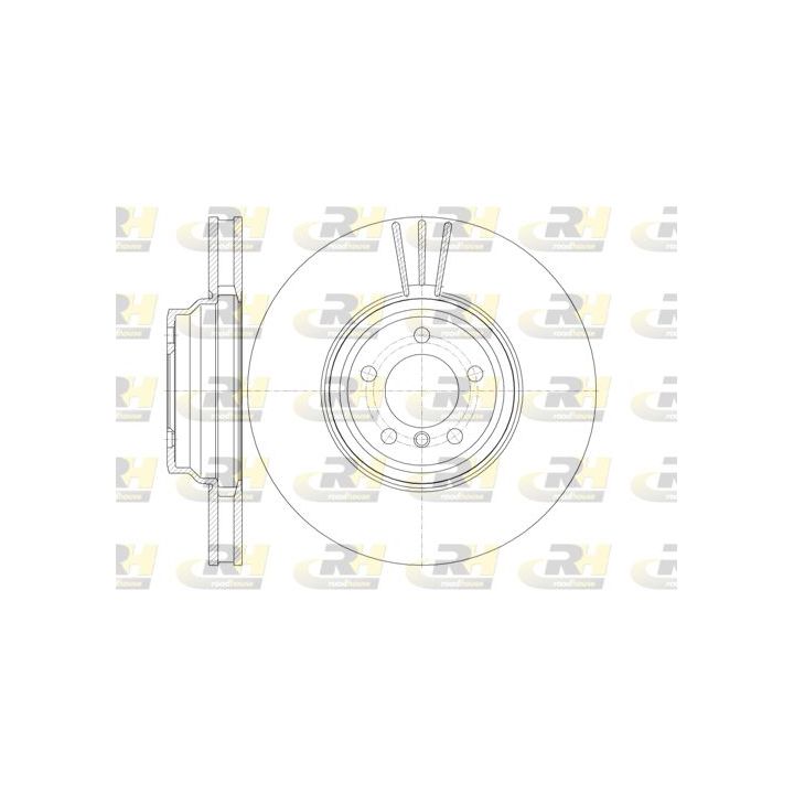 Stabdžių diskas ROADHOUSE 61132.10