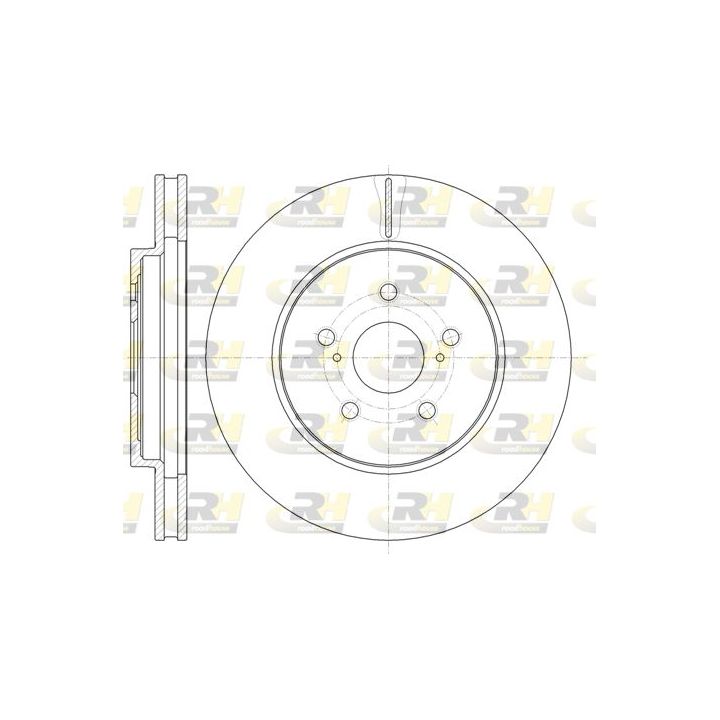 Stabdžių diskas ROADHOUSE 61136.10