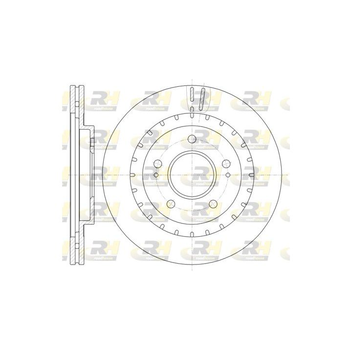 Stabdžių diskas ROADHOUSE 61137.10