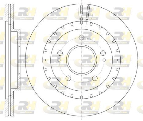 Stabdžių diskas ROADHOUSE 61137.10