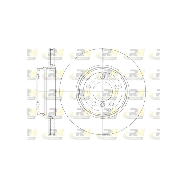 Stabdžių diskas ROADHOUSE 61141.10