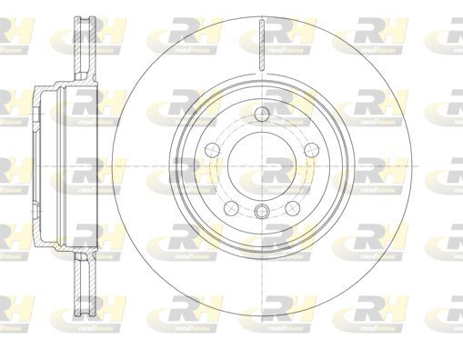 Stabdžių diskas ROADHOUSE 61141.10