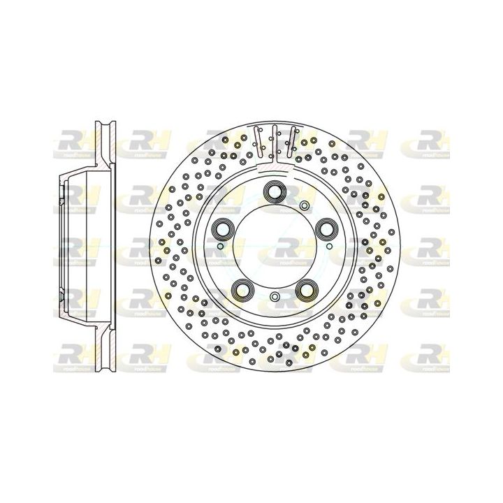 Stabdžių diskas ROADHOUSE 61146.10
