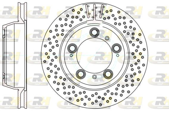 Stabdžių diskas ROADHOUSE 61146.10