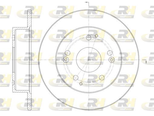 Stabdžių diskas ROADHOUSE 61147.00