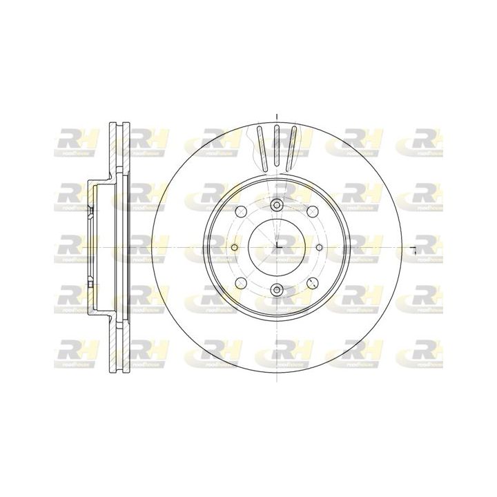 Stabdžių diskas ROADHOUSE 61153.10
