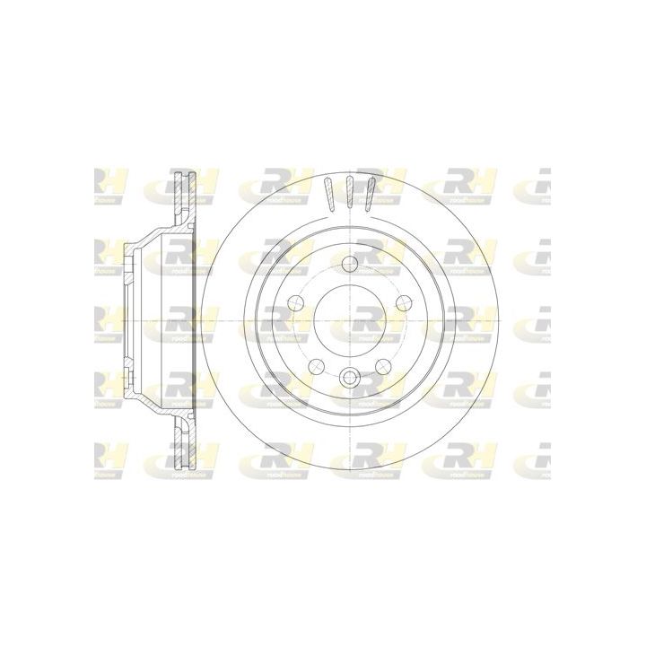 Stabdžių diskas ROADHOUSE 61160.10