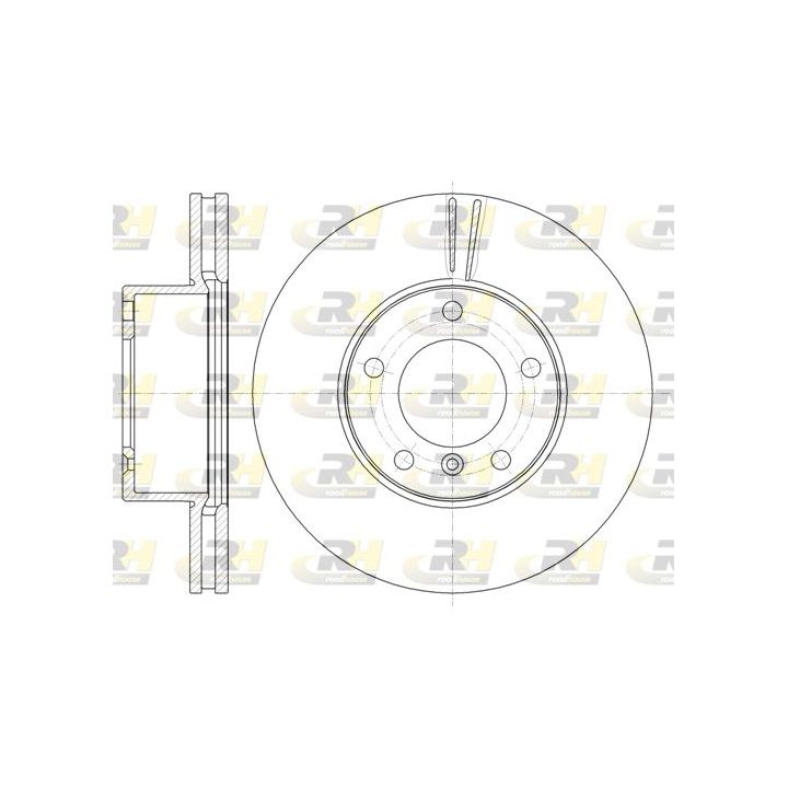 Stabdžių diskas ROADHOUSE 61161.10