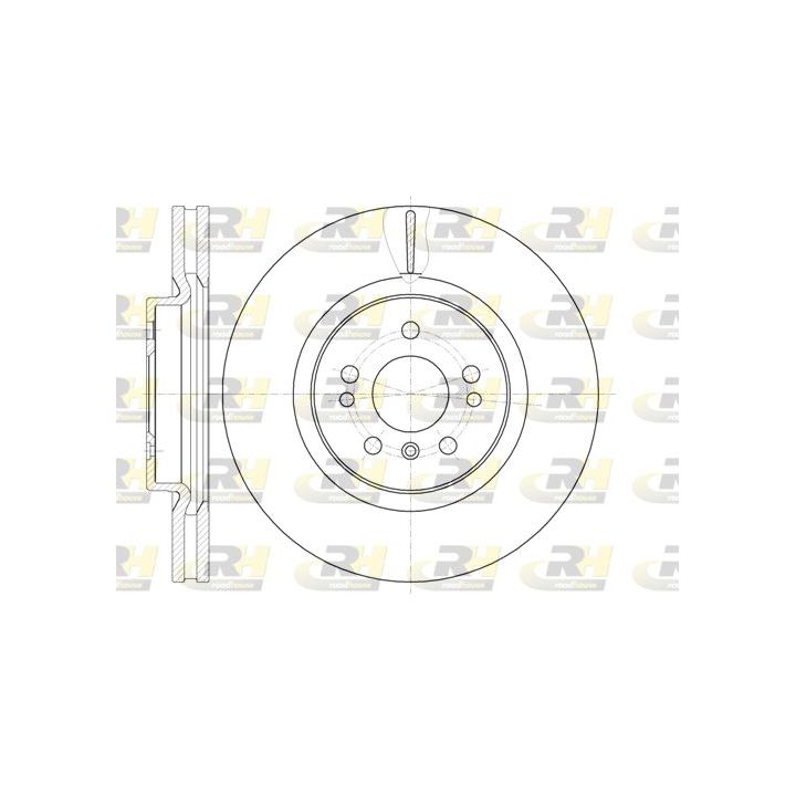 Stabdžių diskas ROADHOUSE 61165.10